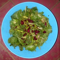 Radish Beans Salad / Mongra Salad